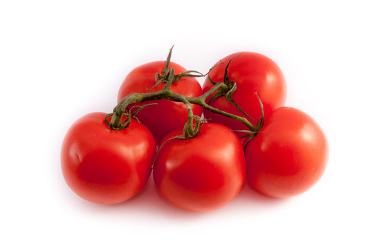 tomatos isolated on white background