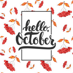 Hand drawn typography lettering phrase Hello, October isolated on the white background with rowan pattern. Fun brush ink calligraphy inscription for greeting and invitation card or print design