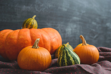still life of pumpkins
