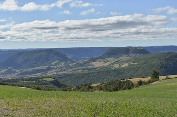 Naklejka premium causse de novis