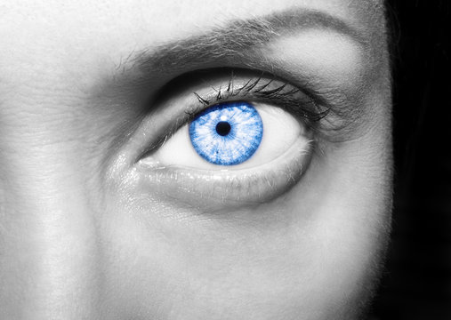 Beautiful insightful look blue woman's eye