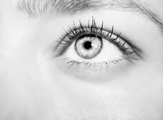 Beautiful insightful look monochrome woman's eyes