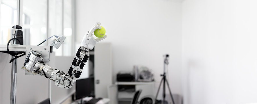 Mechanized Robot Hand Holds The Objects Drawn A Tennis Ball