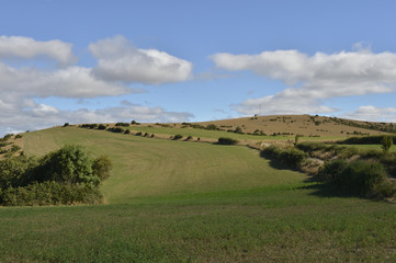 causse de novis, aveyron