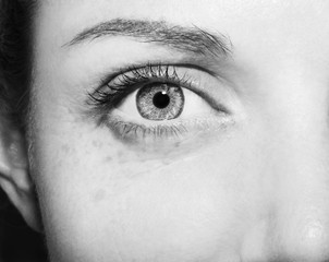 Beautiful insightful look monochrome woman's eye