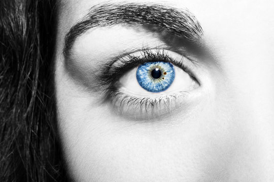 Beautiful insightful look  blue woman's eyes
