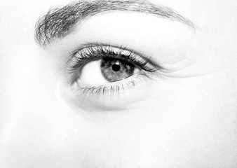Fototapeta premium Beautiful insightful look monochrome woman's eye