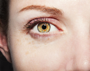 Fototapeta premium Beautiful insightful look brown woman's eyes