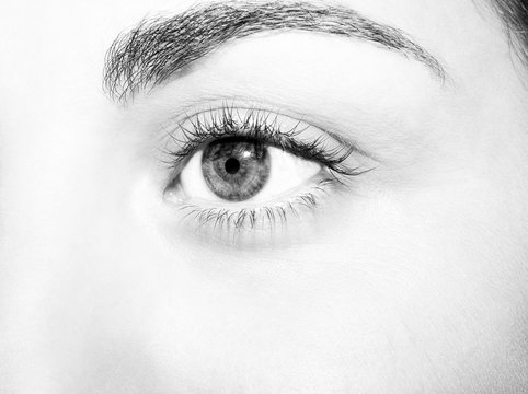 Beautiful insightful look monochrome  woman's eye