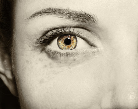 Beautiful insightful look vintage woman's eye