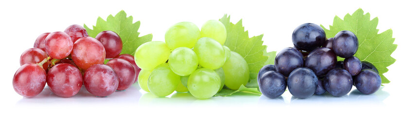 Trauben Weintrauben rot grün blau frische Früchte Obst