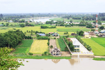 High view of agricultural fields