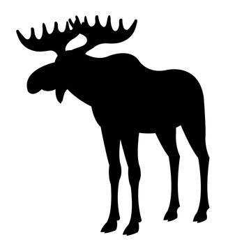 adult moose silhouette, black vector illustration