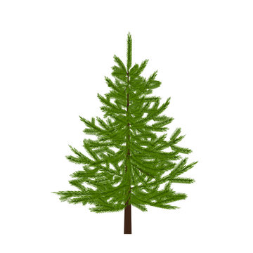 Green Tree. Christmas symbol. New Year. illustration