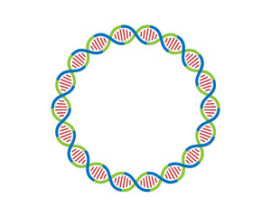 Obraz premium DNA strands Loop 18 parts