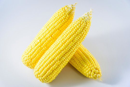 Group of Corn isolated on a white background.
