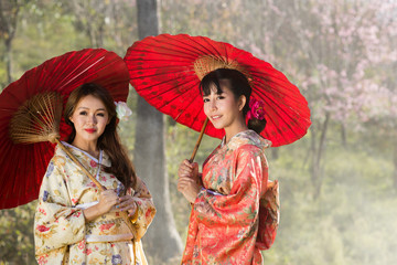 Asian women wearing traditional japanese kimono and red umbrella in the himalayan sakura garden,Thailand.