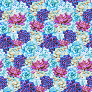 Watercolor succulent cactus flower plant hand drawn seamless pattern
