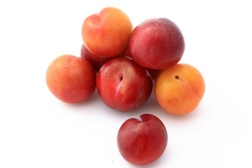 Prunes jaune