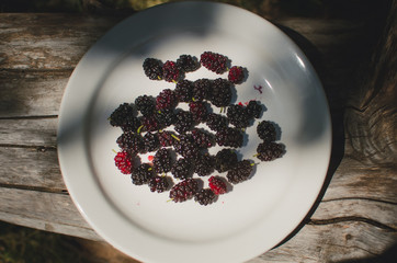 mulberries in a rectangular bowl on the wooden floor white color