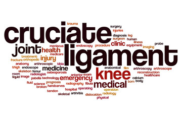 Cruciate ligament word cloud