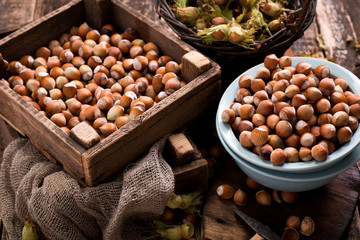 Hazelnuts on rustic wooden background,healthy food