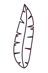 leaf floral garden and silhouette icon. decoration and ornament theme. Isolated design. Vector illustration