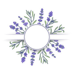 Hand drawn lavender banner, invitation card.