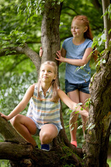 Naklejka na ściany i meble two happy girls climbing up tree in summer park