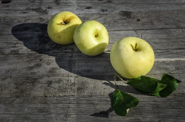 ripe yellow apples on the table
