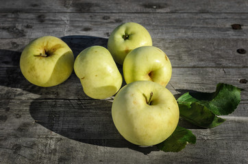 ripe yellow apples on the table