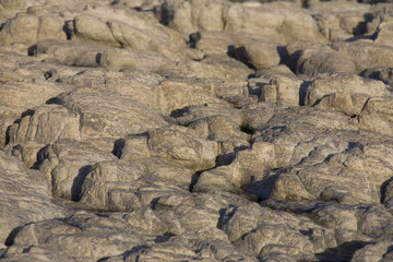 Rock detail Hermanus P