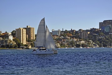 view across the Sydney Harbour towards North Sydney skyline, Catamaran sailing boat in the foreground, Sydney NSW Australia