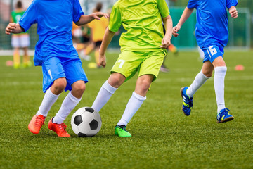 Soccer match for youth teams