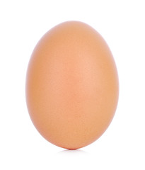 Chicken Egg ,one eggs isolated on white background