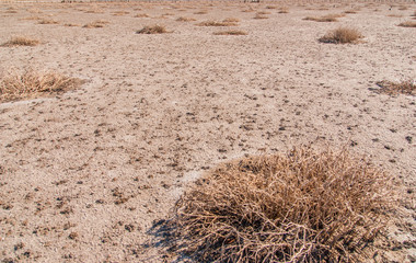 Dried salt lake shore