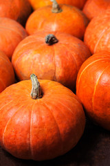 Autumn Pumpkin Thanksgiving Background - orange pumpkins over wo