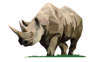 Rhinoceros