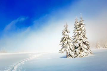 Beautiful mountain snowy landscape and snow covered trees and snowy paths in the snow. Beautiful sunny day in the mountains.