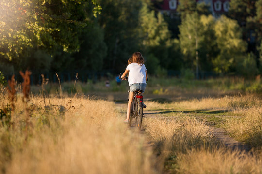 Toned image of woman riding away on bicycle at meadow