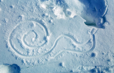 Fototapeta premium slug in snow, drawing in the snow. Light blue background.