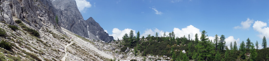 Fototapeta na wymiar Panorama of Alps