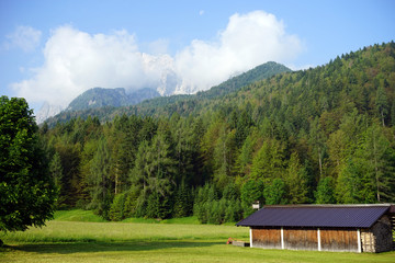 Barn and farm