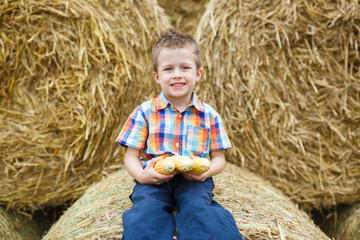 Little boy in a countryside