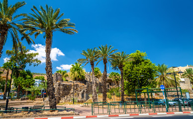 Fototapeta na wymiar Garden and city walls in Tiberias - Israel
