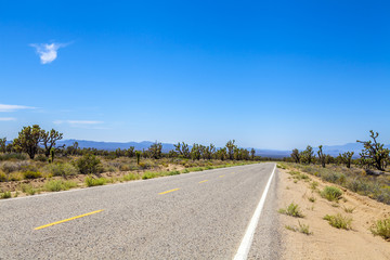 Route 66
