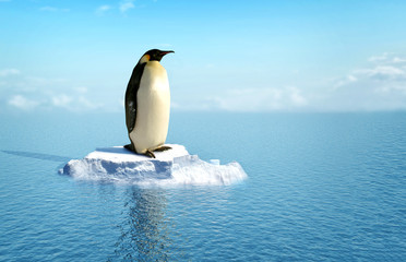 Obraz premium pojedynczy pingwin na kawałku lodu