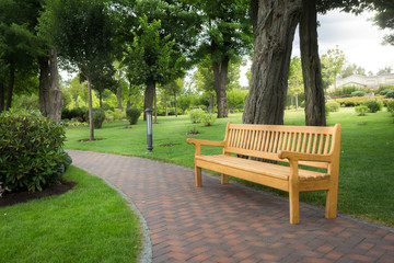Wooden bench under trees at beautiful park