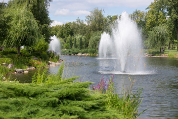 Fountains on pond at park at bright sunny day