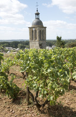 Fototapeta na wymiar Vines and church at Vouvray France - August 2016 - The bell tower of the church of Notre Dame et Saint Jean Baptist surrounded by vines above Vouvray in the Indre et Loire region of France